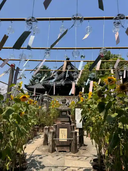 おふさ観音(観音寺)(奈良県)