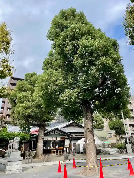 お三の宮日枝神社(神奈川県)