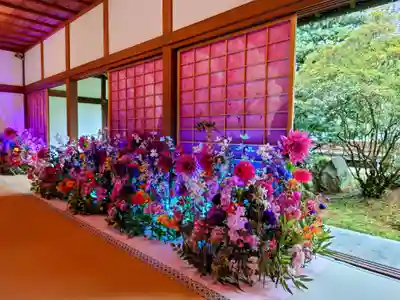 隨心院(随心院)(京都府)