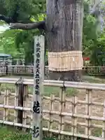 日高神社(岩手県)