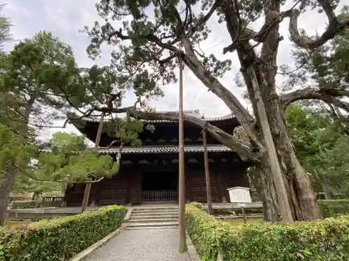 大徳寺の本殿・本堂