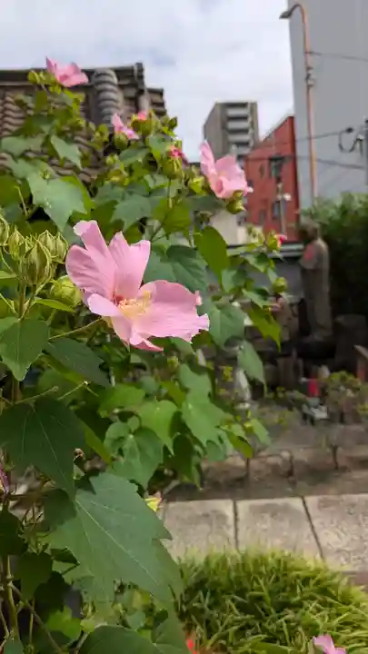 浜本山 源光寺(大阪府)
