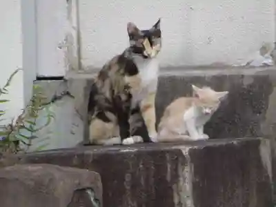 誓願寺(京都府)