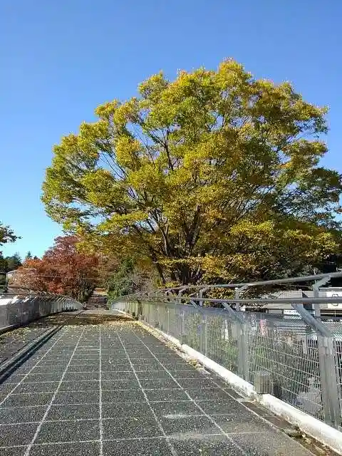 狭山山不動寺の周辺