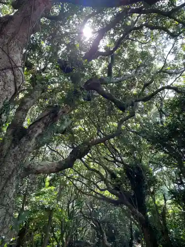 靖国神社(高知県)