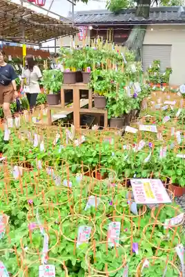 真源寺（入谷鬼子母神）(東京都)