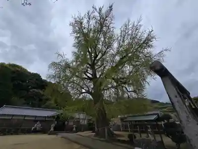 丹生酒殿神社(和歌山県)