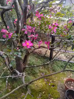 常林寺(宮城県)