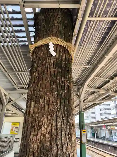 足の神様 服部天神宮(大阪府)