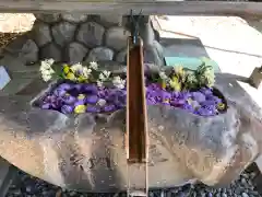 都波岐奈加等神社の手水