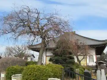 慈眼寺(東京都)