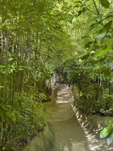 來宮神社(静岡県)