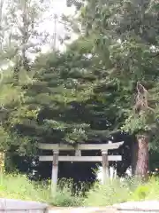 神社(名称不明)の鳥居