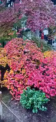 鹿王院(京都府)