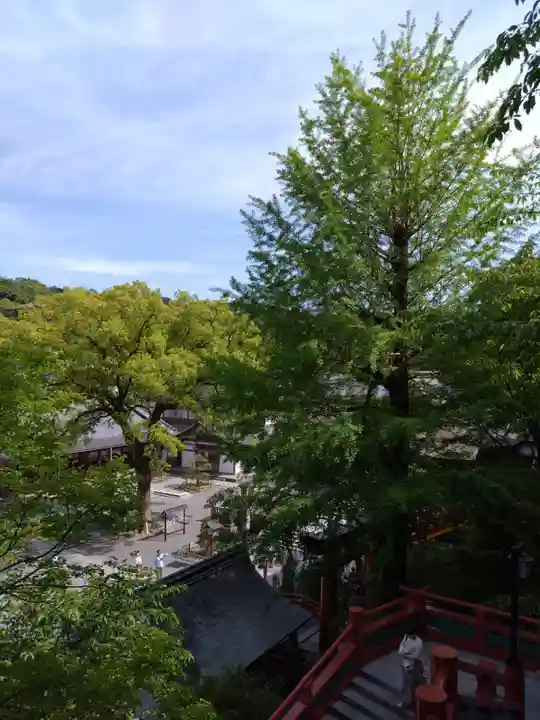 祐徳稲荷神社(佐賀県)