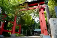 西堀氷川神社の鳥居