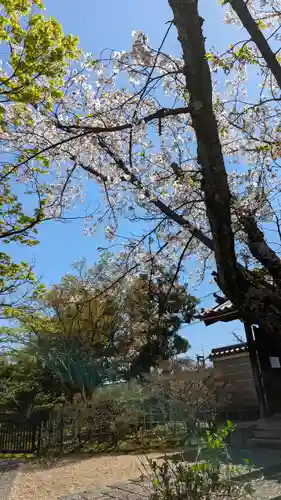 法金剛院(京都府)