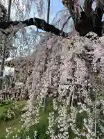 慈雲寺(山梨県)