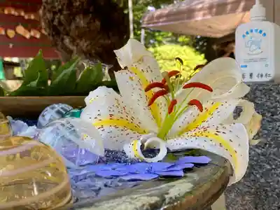 正一位 若草稲荷神社の手水舎