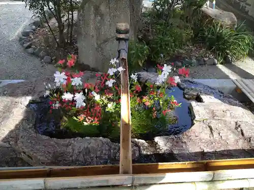 阿智神社の手水