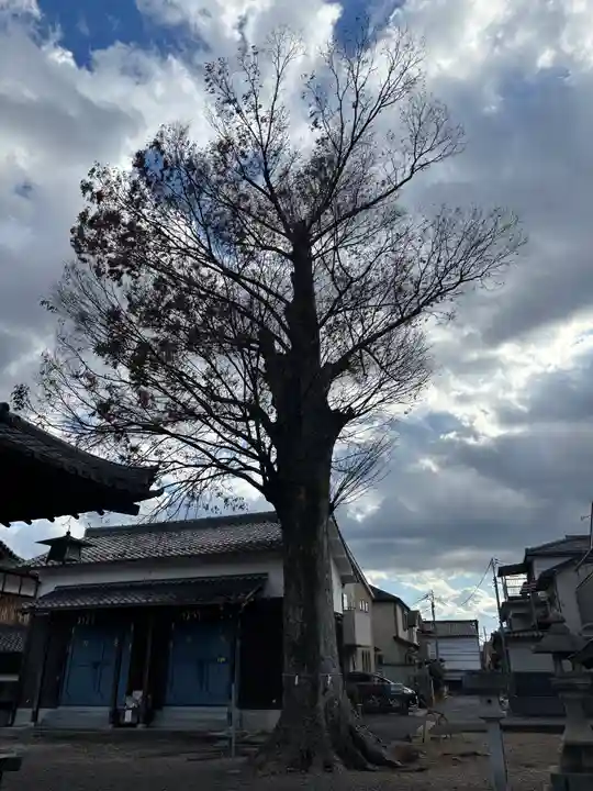 篠津神社の自然