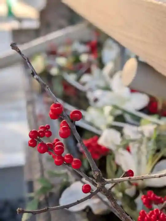 鳩森八幡神社(東京都)