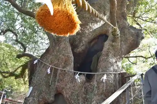 山王神社の{uncategorized: "未分類", other: "その他", undefined: "問題あり", building: "その他建物", grave: "お墓", sacred_gate: "鳥居", guardian: "狛犬", statue: "像", buddha: "仏像", history: "歴史", nature: "自然", garden: "庭園", animal: "動物", pagoda: "塔", temizu: "手水舎", mountain_gate: "山門・神門", sanctuary: "本殿・本堂", subordinate: "末社・摂社", art: "芸術", scenery: "景色", jizo: "地蔵", ema: "絵馬", goshuin: "御朱印", omikuji: "おみくじ", items: "授与品その他", amulet: "お守り", goshuincho: "御朱印帳", eats: "食事", festival: "お祭り", votive_dance: "神楽", shichigosan: "七五三参", wedding: "結婚式", experience: "体験その他", initially: "初詣", around: "周辺", anti_infection: "感染症対策"}