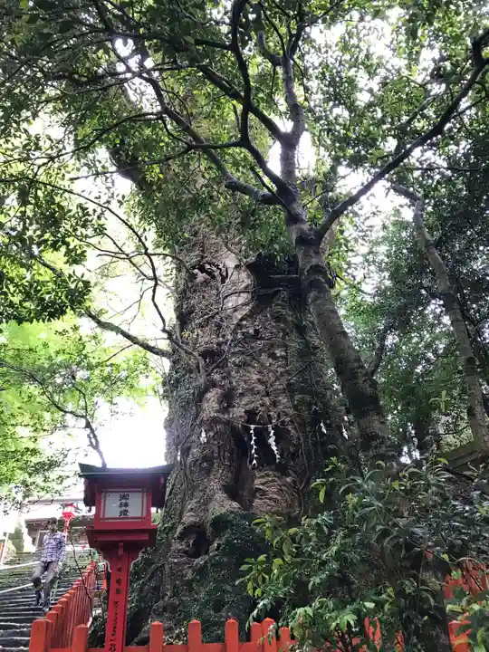 新田神社(鹿児島県)
