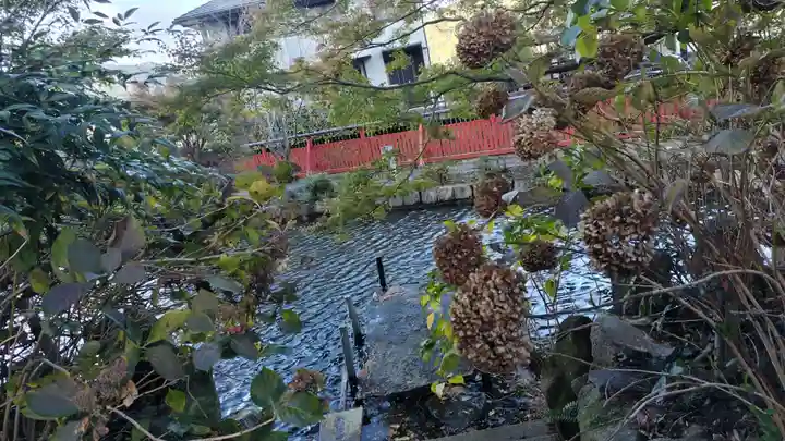 稗田野神社(薭田野神社)(京都府)