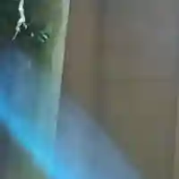 熱田神宮(愛知県)