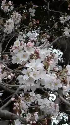 後白河院御聖蹟　法住寺(京都府)