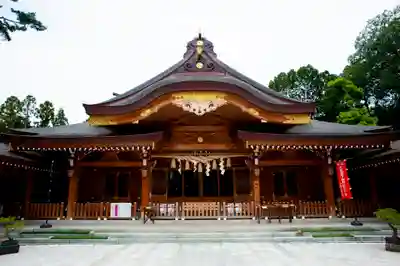 亀ケ池八幡宮の本殿・本堂