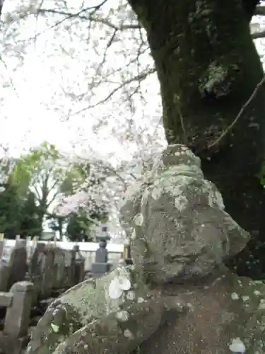 真光寺(千葉県)