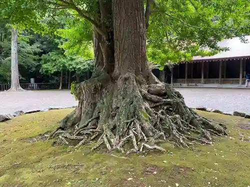 安房神社(千葉県)