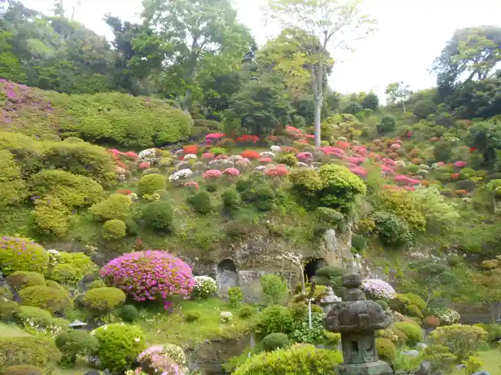 仏行寺(佛行寺)の庭園