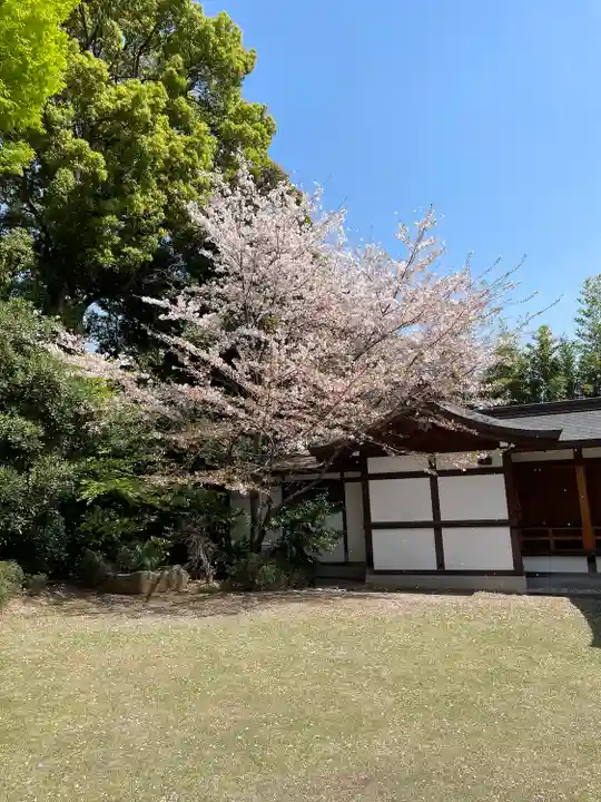 阿佐ヶ谷神明宮(東京都)
