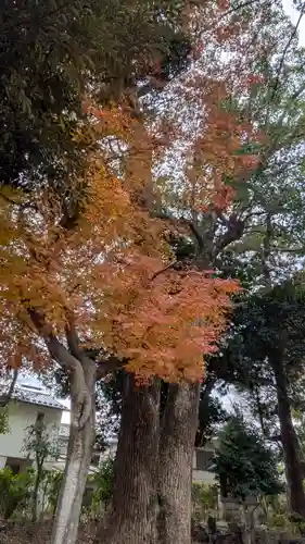 膳所神社(滋賀県)