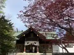 厚別神社の本殿