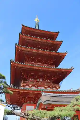 飯沼山 圓福寺の塔