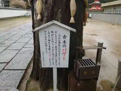 與田寺(香川県)