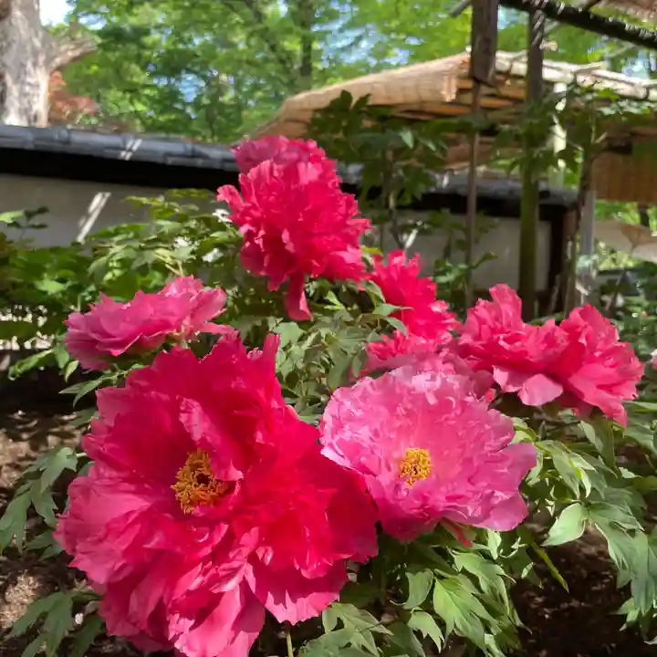 上野東照宮(東京都)