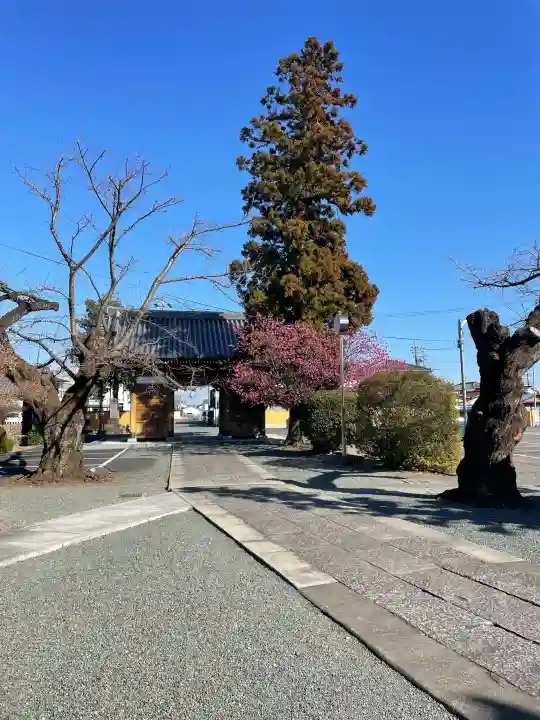 同聚院の{uncategorized: "未分類", other: "その他", undefined: "問題あり", building: "その他建物", grave: "お墓", sacred_gate: "鳥居", guardian: "狛犬", statue: "像", buddha: "仏像", history: "歴史", nature: "自然", garden: "庭園", animal: "動物", pagoda: "塔", temizu: "手水舎", mountain_gate: "山門・神門", sanctuary: "本殿・本堂", subordinate: "末社・摂社", art: "芸術", scenery: "景色", jizo: "地蔵", ema: "絵馬", goshuin: "御朱印", omikuji: "おみくじ", items: "授与品その他", amulet: "お守り", goshuincho: "御朱印帳", eats: "食事", festival: "お祭り", votive_dance: "神楽", shichigosan: "七五三参", wedding: "結婚式", experience: "体験その他", initially: "初詣", around: "周辺", anti_infection: "感染症対策"}