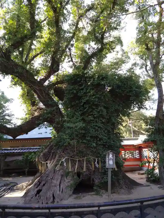 筥崎宮(福岡県)