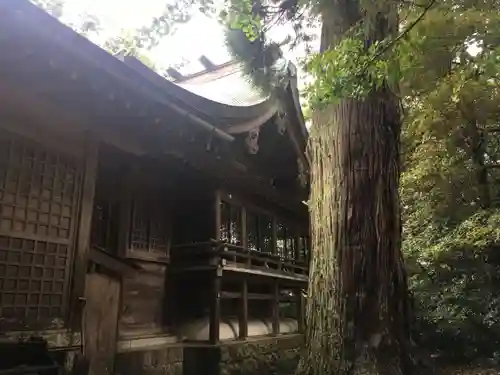 越中一宮 髙瀬神社の本殿・本堂