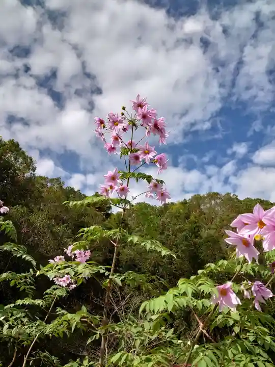 赤猪岩神社の自然