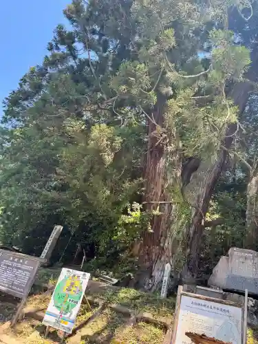 高岡神社(岡山県)