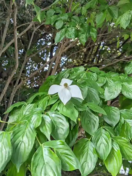 智積院(京都府)
