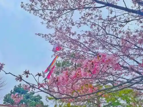 彌彦神社　(伊夜日子神社)の自然