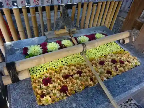 高円寺氷川神社の手水