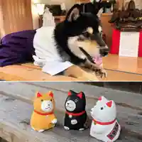 日本唯一香辛料の神 波自加彌神社の授与品その他